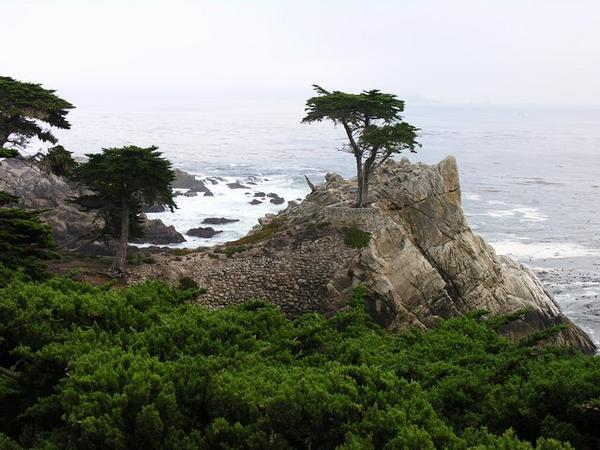 Monterey Drive 