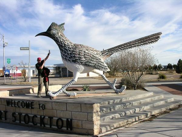 This is Bob fighting the giant roadrunner bird in Fort Stockton, TX