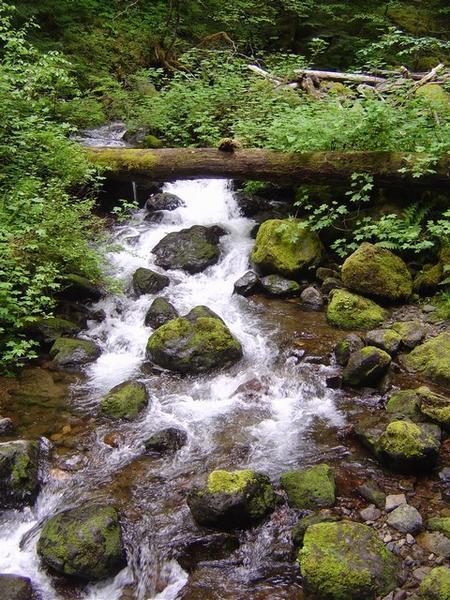 Stream in campground