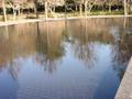 Korean War Memorial Reflecting Pool