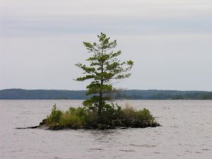 Island in the middle Voyageurs National Park