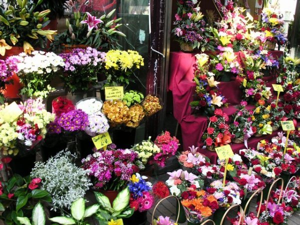 Lovely flowers for sale