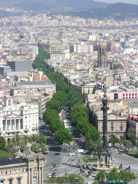 The reason the Rambla is such a popular area to walk, look at the lush trees