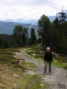 How many hiking trails are there in the Alps?