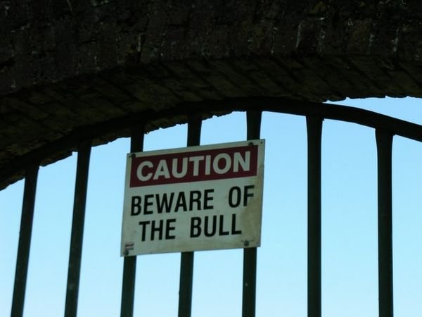 In the states, people put up signs, Beware Dog, Here they are serious