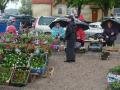 Market at the bus stationâ¦Trakai