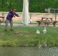 Bob and the poor â plasticâ storks