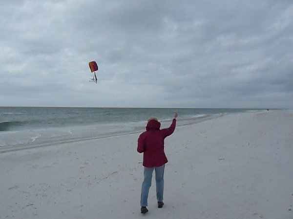 Lets go fly a kite