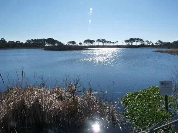 Lake at Topsail