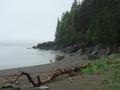 Fundy NP at high tide