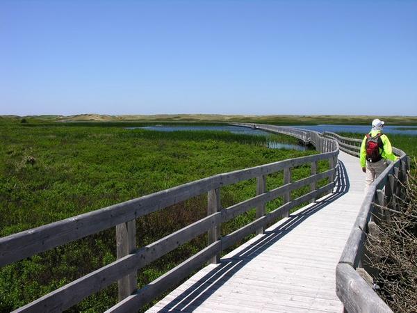 The Greenwich Dune Trail on the boardwalk over Bowley  Pond