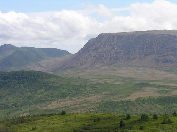 Tablelands and contrasting greenery