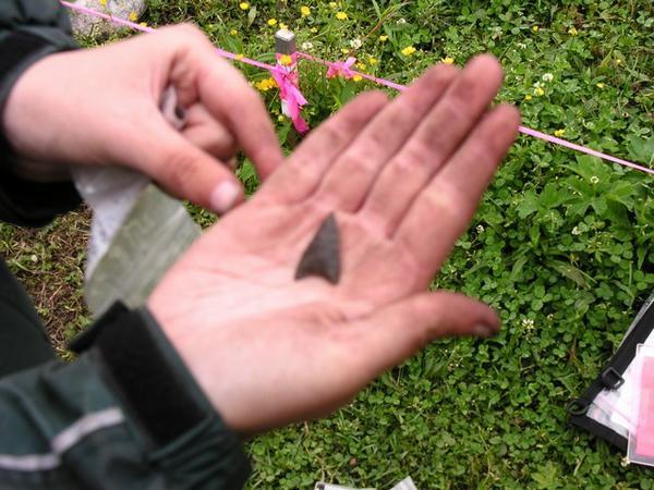 The young sThis arrowhead was at the excavation site, at Philip’s Gardencientists working at Philip’s Garden, at Port aux Choix
