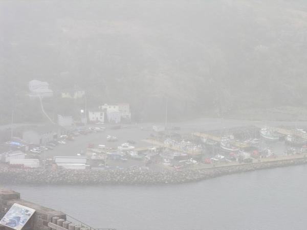 Signal Hill in the fog 