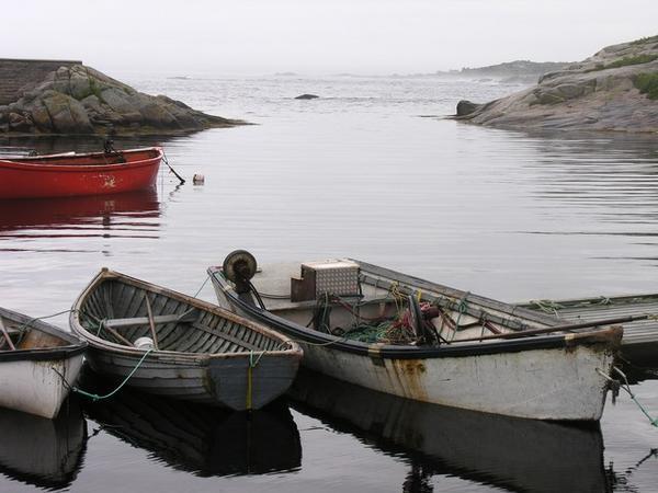 Fishing boats in Margaret’s Bay