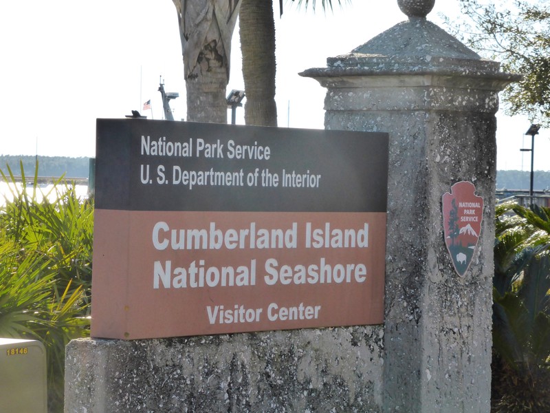 Cumberland Island NS 1376