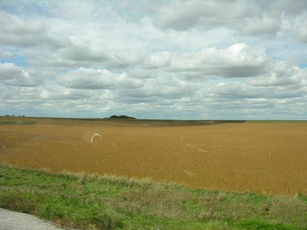 Cornfields in Nebraska