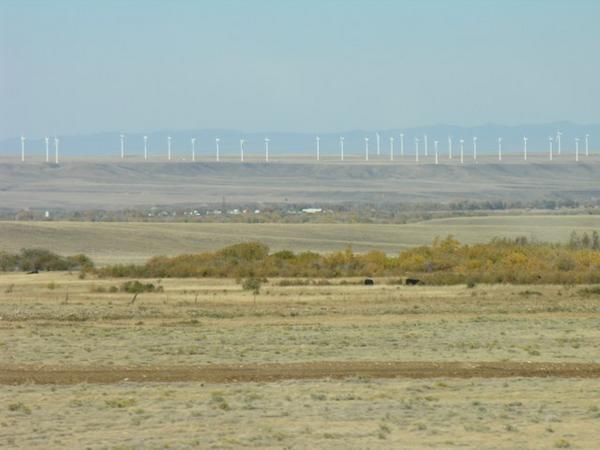 Fields of windmills in WY 