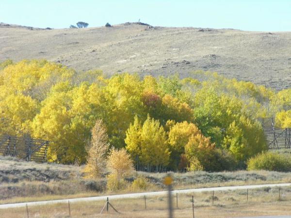 Snow fences in WY