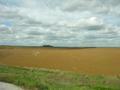 Cornfields in Nebraska