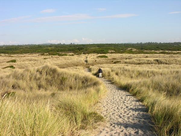 The trail to the coast from Bullard SP, lots of soft sand.