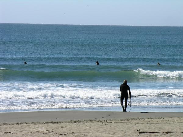 Hardy souls going out to surf the Pacific!
