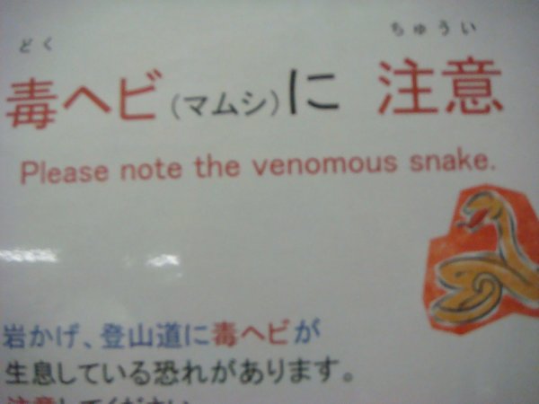 venimous snake