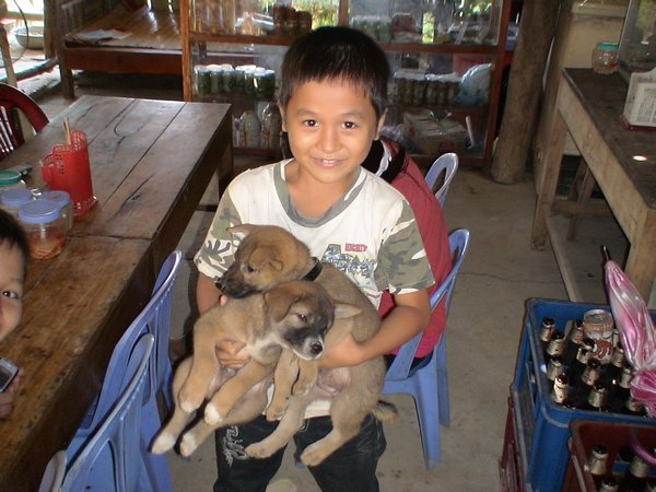 Kids and puppies.  Whats not to love?