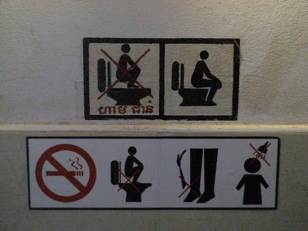 In case you need to know how to use the toilet