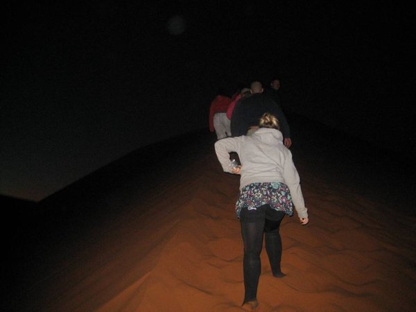 Sossusvlei - Climbing Dune 45