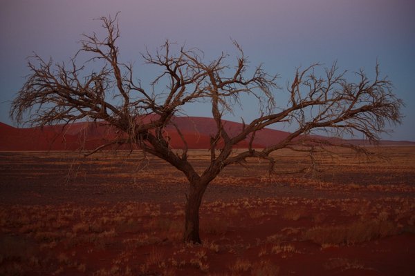 Sossusvlei - Namib desert 2