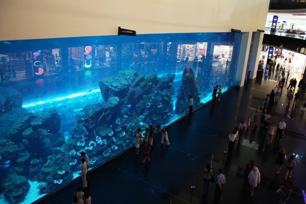 Dubai - Dubai Mall - Aquarium
