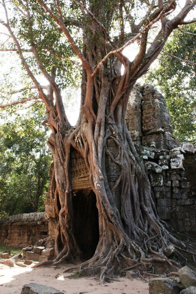 Angkor Temple - Ta Som 2