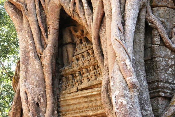 Angkor Temple - Ta Som carving 2
