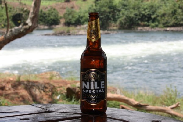 A Nile while sitting beside the Nile