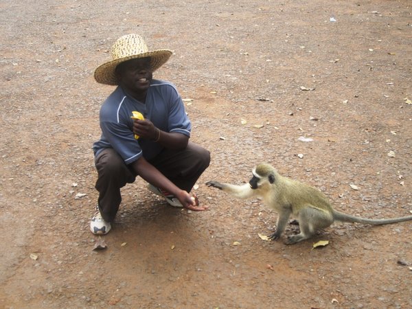 Peter the monkey and friend