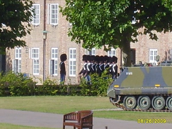 Royal Guards
