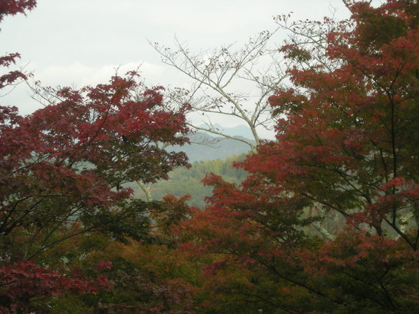 Autumn view in Takeda