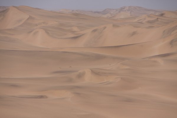 Namibia dunes 034