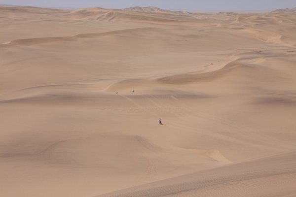 Namibia dunes 054