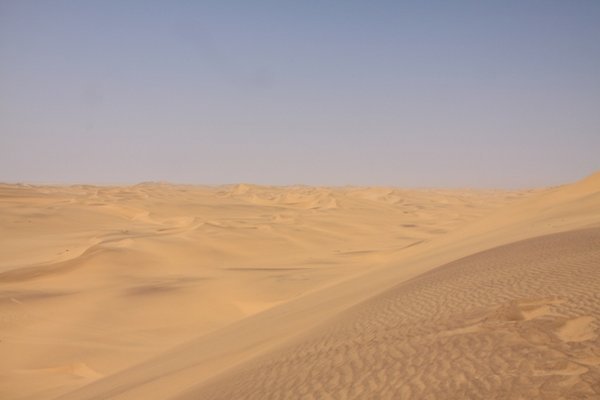 Namibia dunes 059