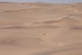 Namibia dunes 054