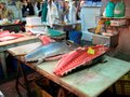 Fish Markets5