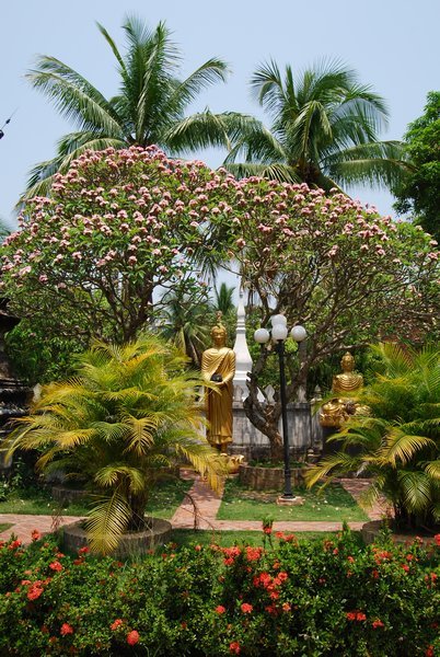 Temple garden where I meditate