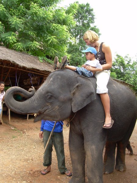 Riding an Elephant in Chang Mai with my little buddy