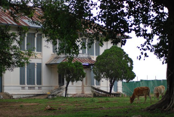 Crumbling Colonial Mansion with Cows Grazing
