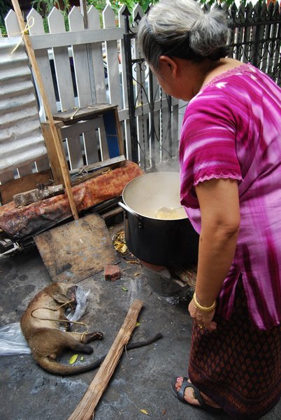 The neighbor cooking up the civet, just arrived