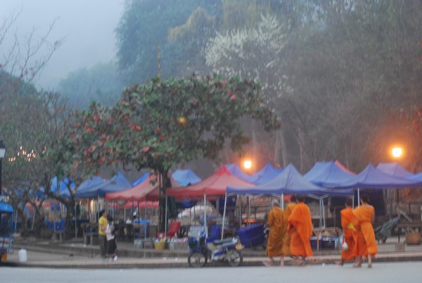 Early morning alms collection by the monks