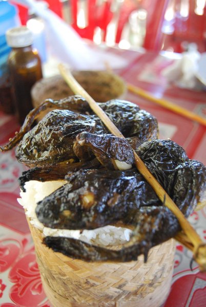 Grilled Skewered Frogs with Sticky Rice