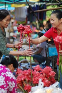 Selling Gorgeous Flowers in the Morning Market